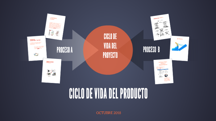 CICLO DE VIDA DEL PROYECTO by Alexain Zad