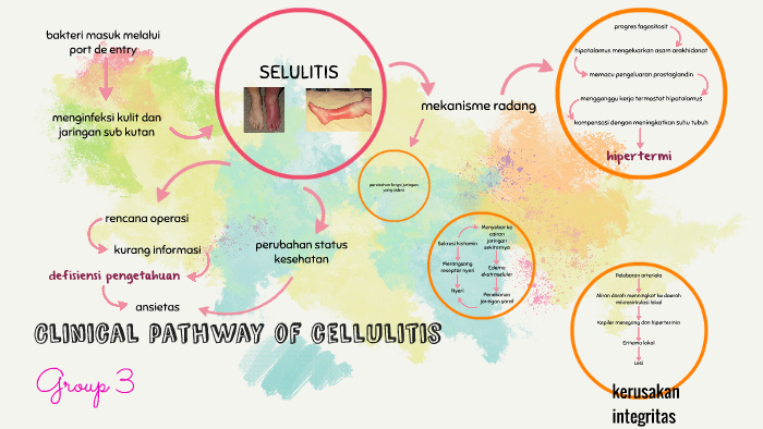 Clinical Pathway Of Cellulitis By Handita Ratri On Prezi