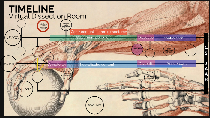 TIMELINE Virtual Dissection Room by A.E.J van Gaalen on Prezi