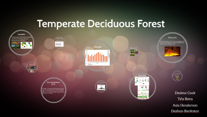 Temperate Deciduous Forest by Asia Henderson on Prezi