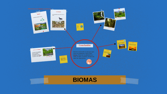 BIOMAS DEL PLANETA by Aurora Rodrguez moreno on Prezi
