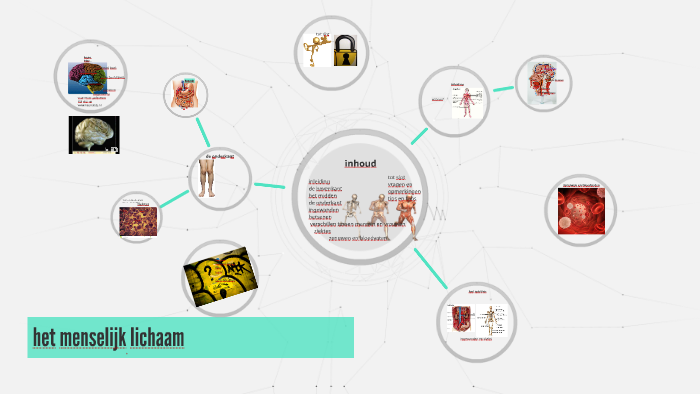 het menselijk lichaam by jesse fennema on Prezi