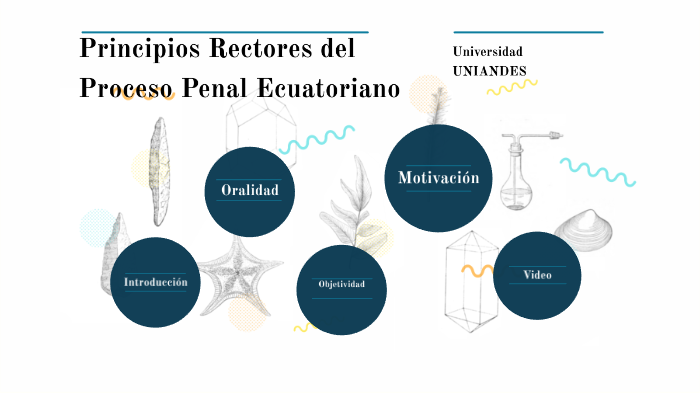 Principios Rectores Del Proceso Penal Ecuatoriano By Dayana Beltrán Ruiz On Prezi 4259