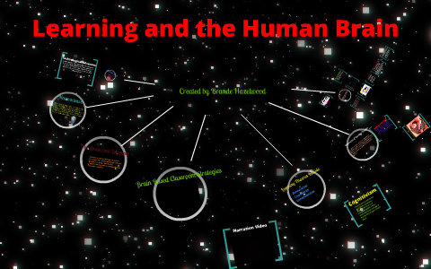 Learning and the Human Brain by B Hazelwood on Prezi