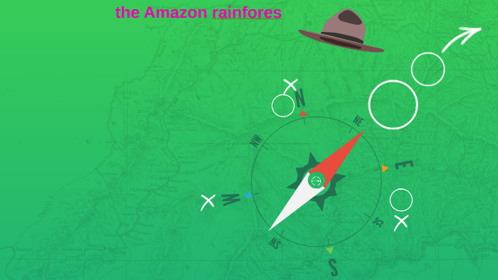 the Amazon rainforest by Botanic Primary on Prezi