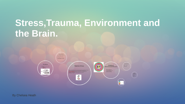 Stress, Environment and the Brain. by chelsea heath on Prezi