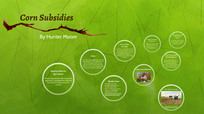 Corn Subsidies by Michaela Shadrick on Prezi