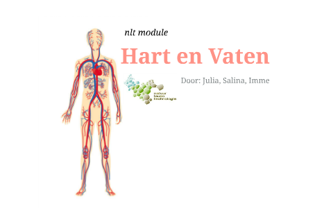 NLT Hart en Vaten by Imme Wagemans on Prezi