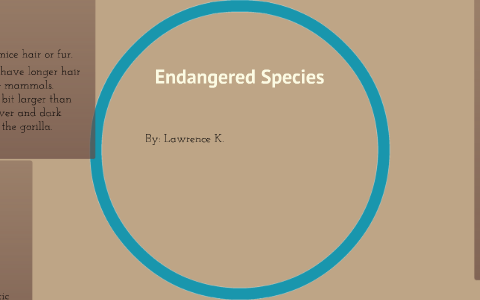 Endangered Species by Student01 School on Prezi