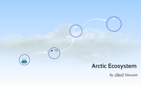 Arctic Ecosystem by jibril stewart on Prezi