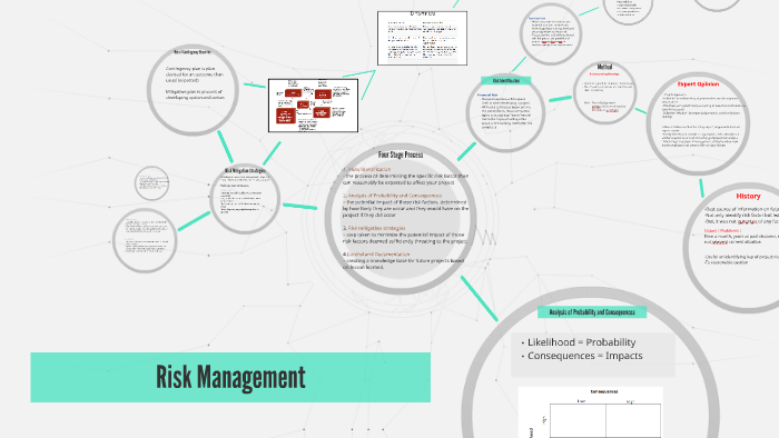Risk Management by Chris Ann on Prezi
