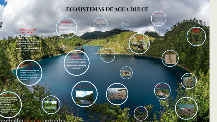 Ecosistemas De Agua Dulce By Camila Vidal