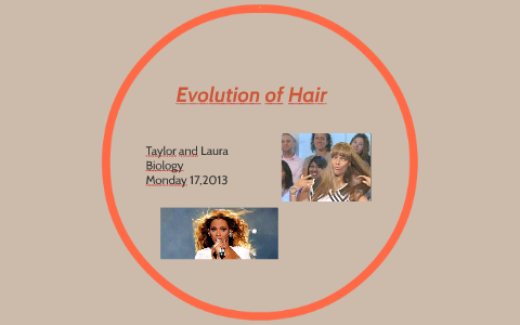 Evolution Of Hair by taylor reynolds