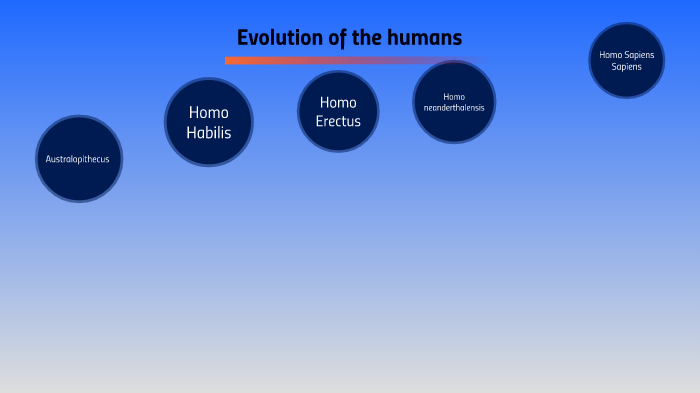 Evolution of the humans by mario marcos navarro on Prezi