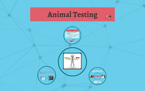 Animal Testing by Koji Ezaki