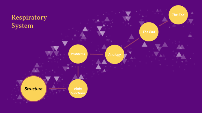 Respiratory System by Taryn Magby on Prezi