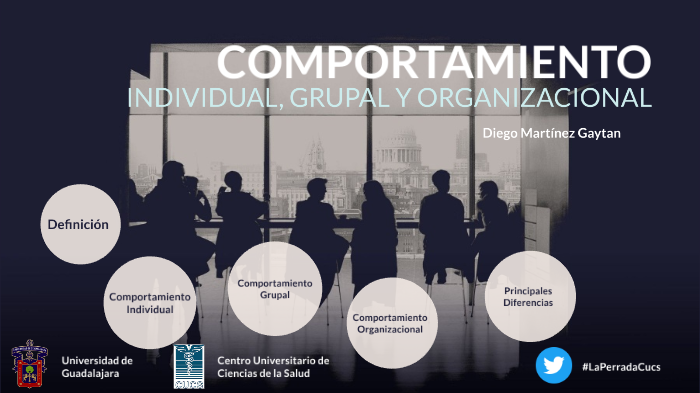 Comportamiento Individual, Grupal y Organizacional by Diego Martinez on