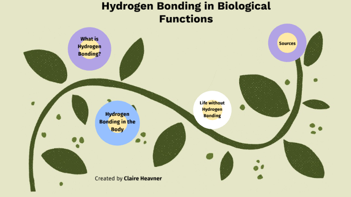 The importance of hydrogen bonding in many biological functions by ...