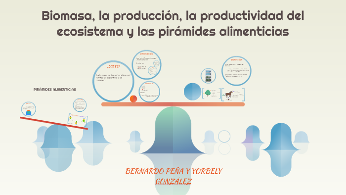 Biomasa, la producción, la productividad del ecosistema y la by Yorbely