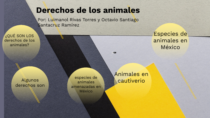 Derechos de los animales by Luimanol Rivas Torres on Prezi
