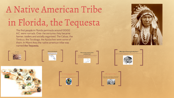 Native American Tribes by Rebecca Roque