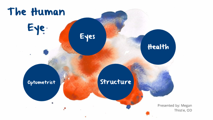 The Human Eye by Megan Thistle on Prezi