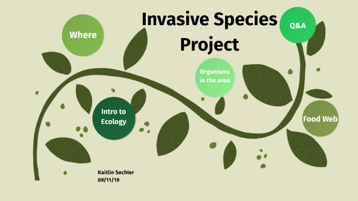 APES Invasive Species Project By K Sechler