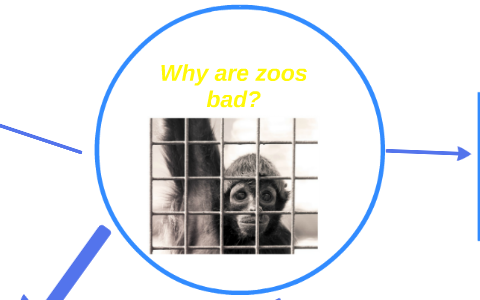 thesis on why zoos are bad