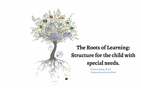 Social Learning Tree Roots The Roots of Learning: Structure for the child with special needs. by ...
