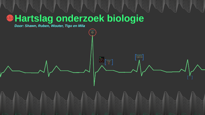 Hartslag onderzoek biologie by Mila W8 on Prezi