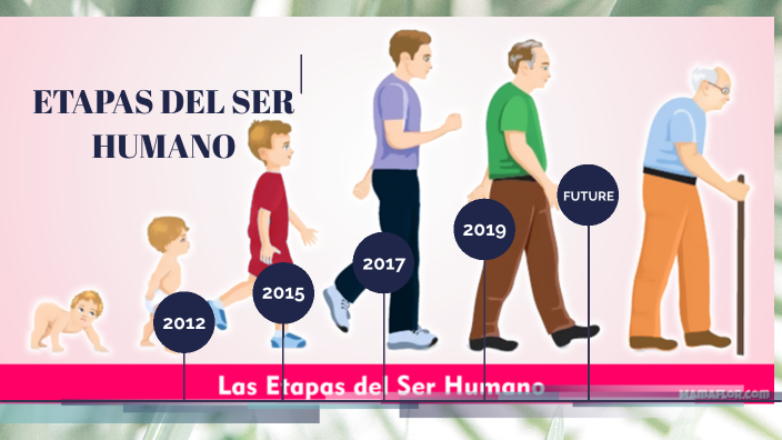 ETAPAS DEL SER HUMANO by Alexander De Vivar