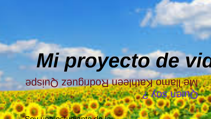 Mi proyecto de vida by kathleen Rodriguez Quispe on Prezi