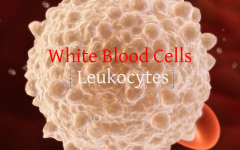 White Blood Cells Immunology Group by Chevaughn Campbell on Prezi