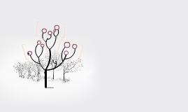 Untitled Prezi