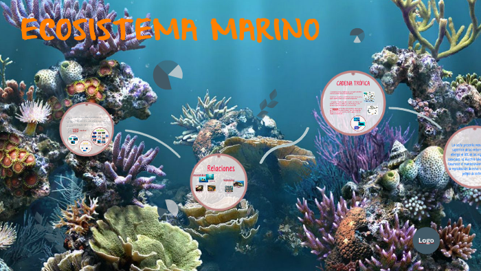 ECOSISTEMA MARINO by Ariadna Suárez on Prezi