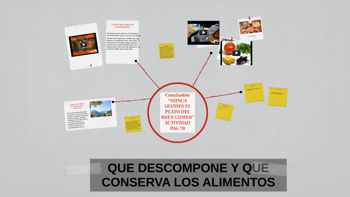 QUE DESCOMPONE Y QUE CONSERVA LOS ALIMENTOS by alejandro de gabriel