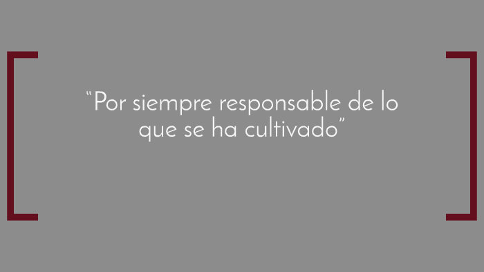 Por Siempre Responsable De Lo Que Se Ha Cultivado