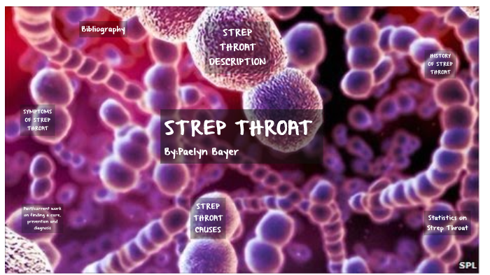 streptococcal pharyngitis bacteria shape