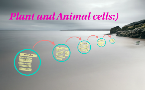 Plant and Animal cells:) by on Prezi