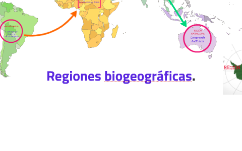 Regiones biogeográficas by aseret martinez on Prezi