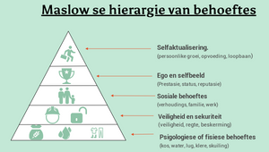 Maslow se hierargie van behoeftes Graad 10 by Nadine Irvia on Prezi Design