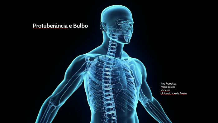 Bulbo e Protuberância by Vanessa Peixoto on Prezi