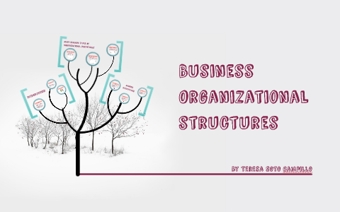 Business Organizational Structure by Teresa SC on Prezi