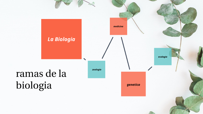 ramas de la biologia by giannyris guzman