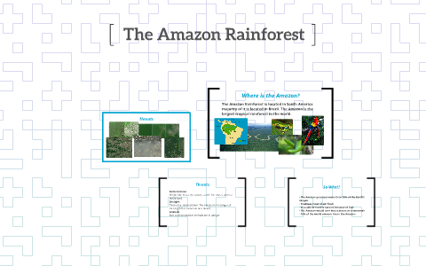 The Amazon Rainforest by Eunice Choi on Prezi