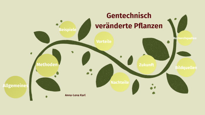 Gentechnisch Veränderte Pflanzen Pro Und Contra Gentechnisch veränderte Pflanzen by Anna-Lena Karl on Prezi