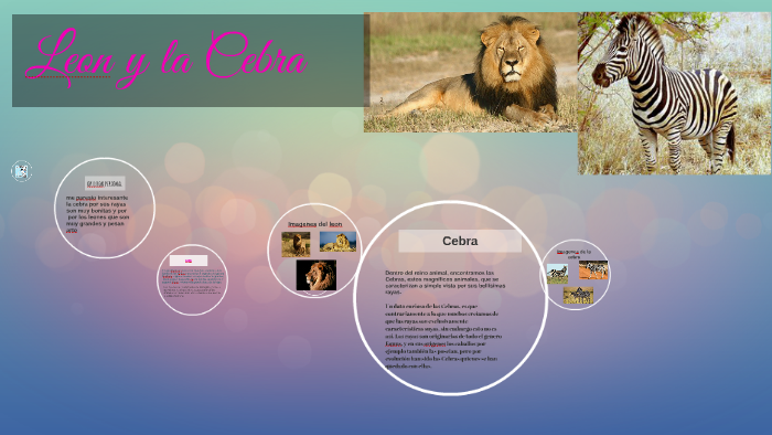 leon y la cebra by paulina  fernandez :3 on Prezi Next