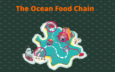Bald Eagle Food Chain by Drago n Trang on Prezi Biology Diagrams