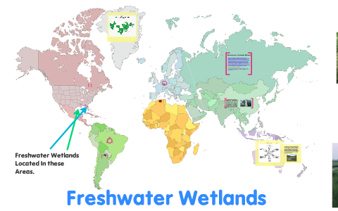 wetlands biome map