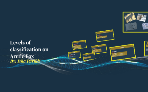 Levels of classification on Arctic Fox by isha parikh on Prezi